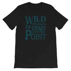 Wild Horses Of Stoney Point